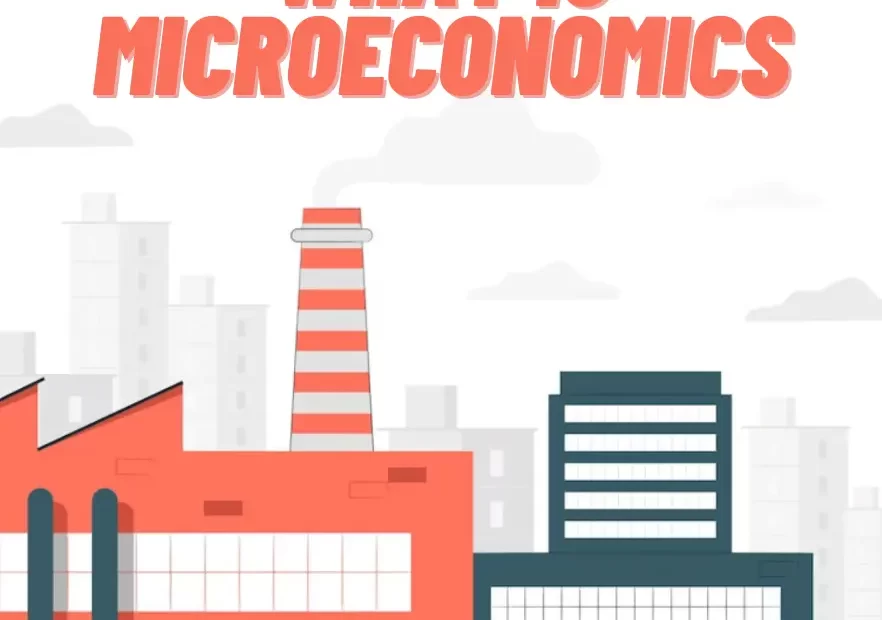 What is microeconomics and what does it study: definition, main topics, agents