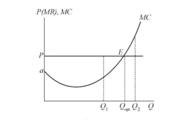 Perfect competition market: Competitive Strategy of the Company in the Long Run